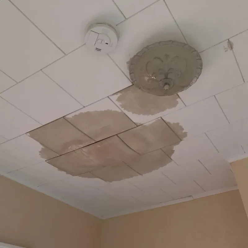 Ceiling Water Damage Repair in Greatwood, TX